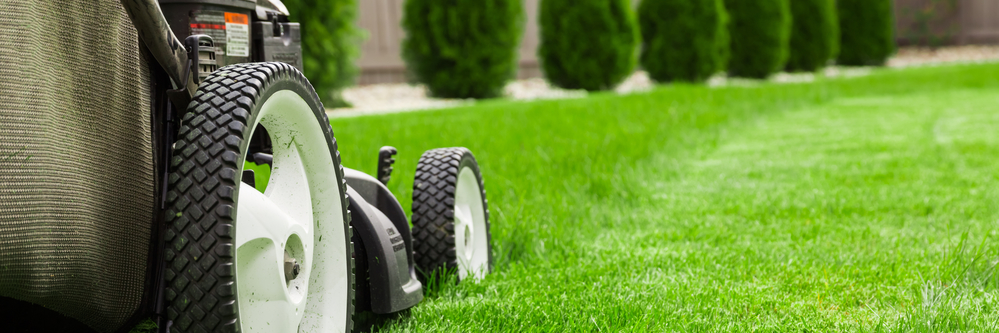 Lawn Service Lawn Care And Landscaping